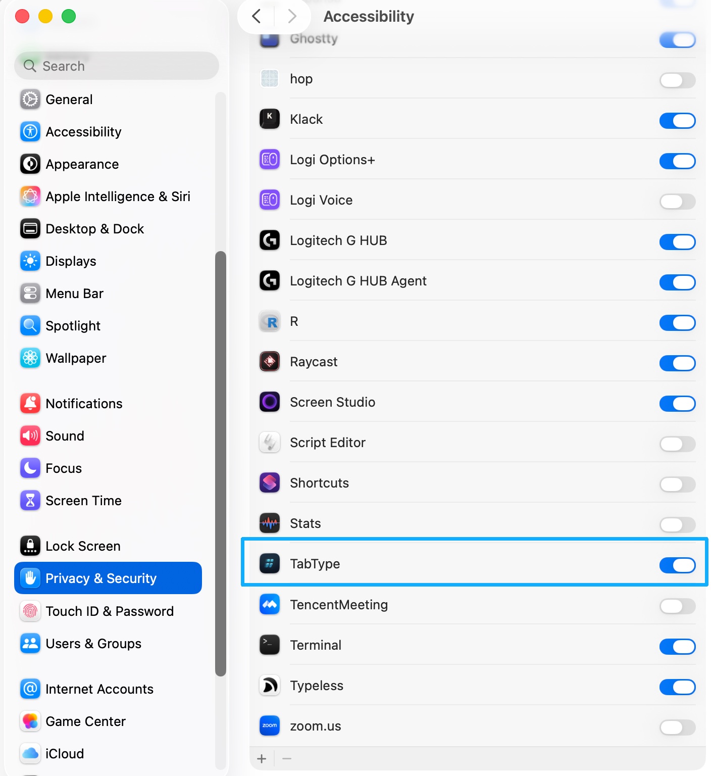 Granting accessibility permission in System Settings